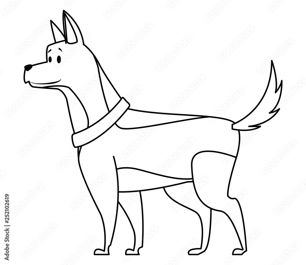 Obraz premium dog with collar