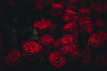 Dark Roses