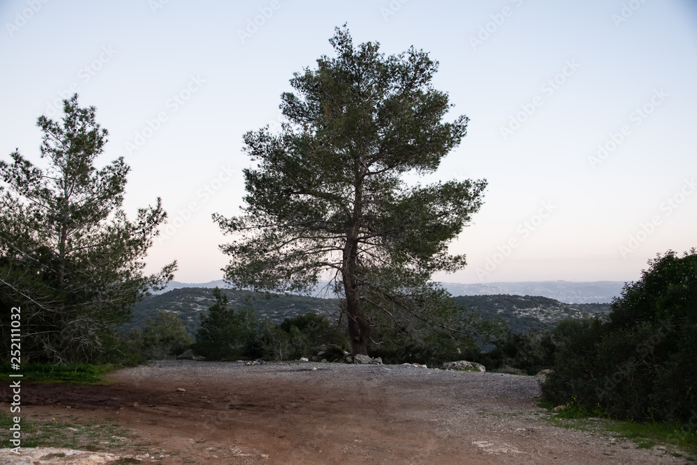 View of the Jerusalem hills. Khirbet Hanot. Israel . View of the Jerusalem hills. Khirbet Hanot. Israel .