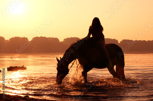 Silhouette Pferd mit Reiterin im See