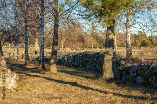 Old stone wall at pasture