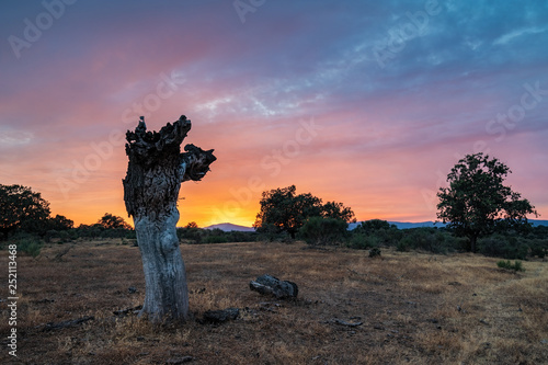 Sunset landscape near Guijo de Galisteo. Extremadura. Spain. photo