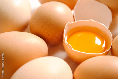 Chicken eggs on white background