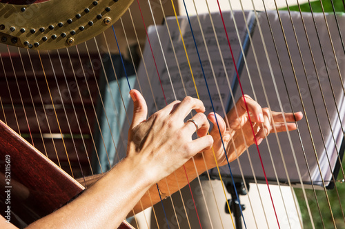 Hands on harp strings