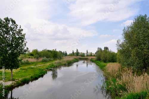 View of the river in the forest area on a summer day