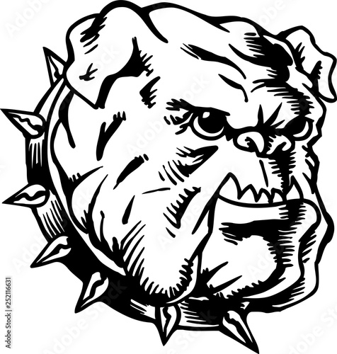 Bulldog Vector Illustration