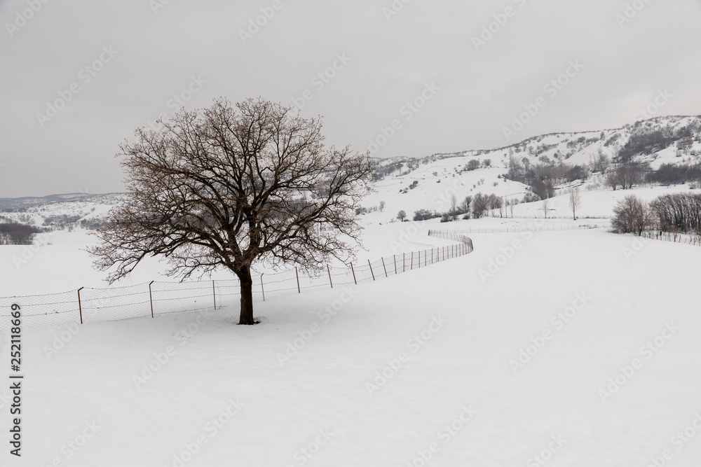 Fototapeta premium Turkey Bingol Snow view