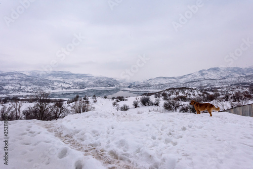 Turkey Bingol Snow view © Serpil