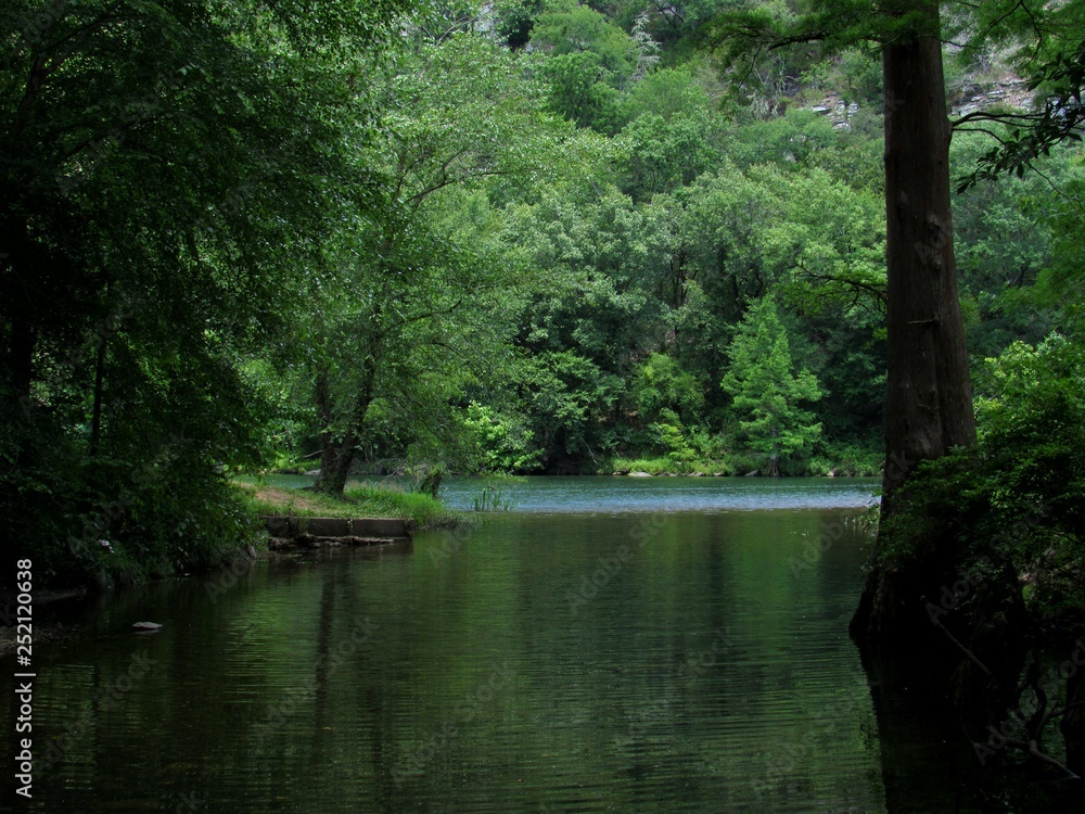 Cove of the river surrounded in trees Cove of the river surrounded in trees