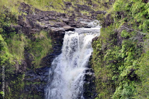 Waterfall in Hawaii  USA
