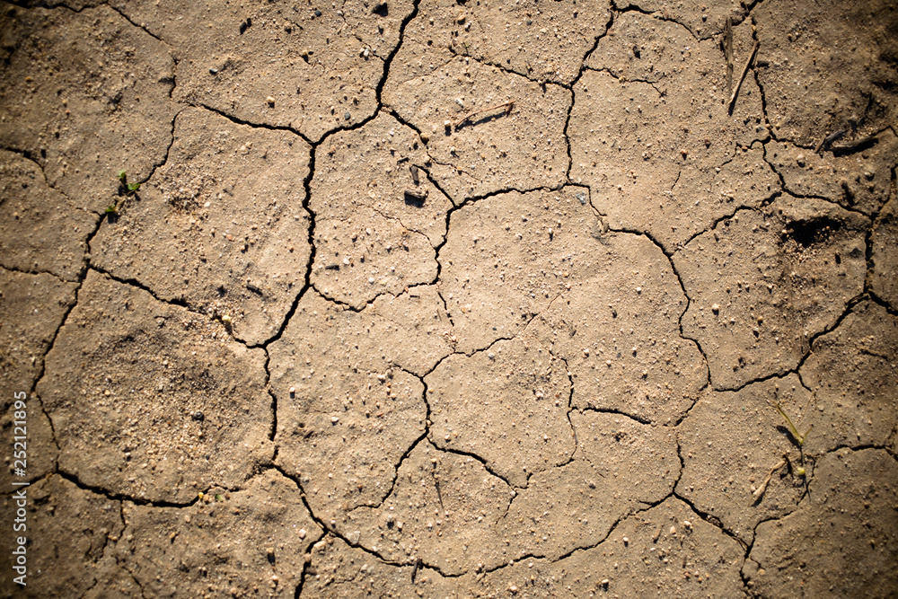 Fototapeta premium Dry Cracked Earth Detail 05