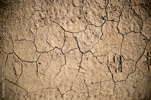 Dry Cracked Earth Detail 01