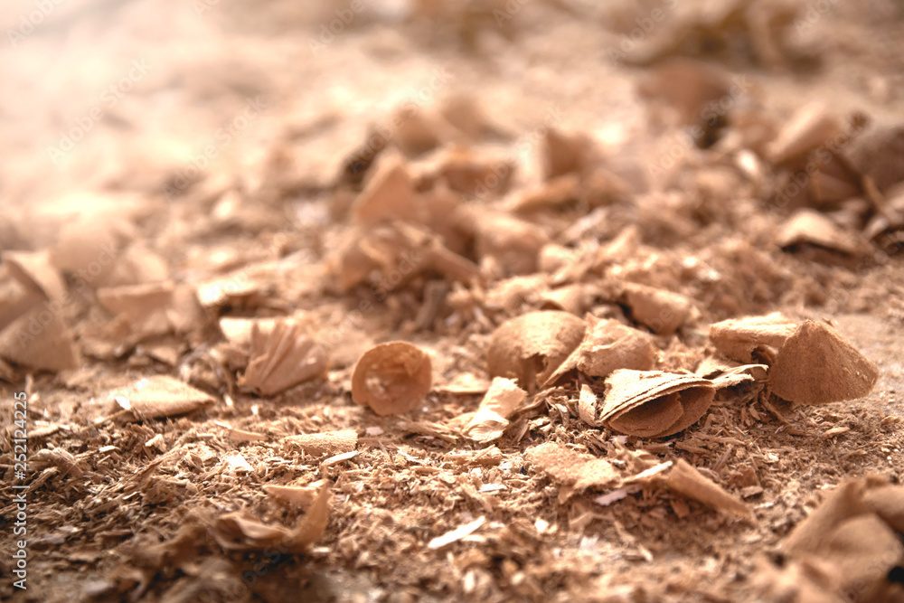 Wood sawdust closeup. Sawdust floor texture. Milling machine