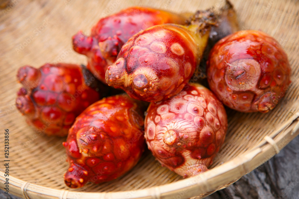 11 Best 老海鼠 Images Stock Photos Vectors Adobe Stock