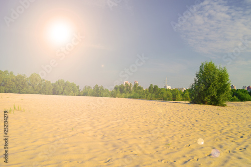 Fabulous sunset over the forest and desert. Nature in summer.