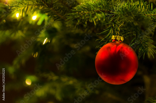 Red Christmas bauble hanging at fir branch photo