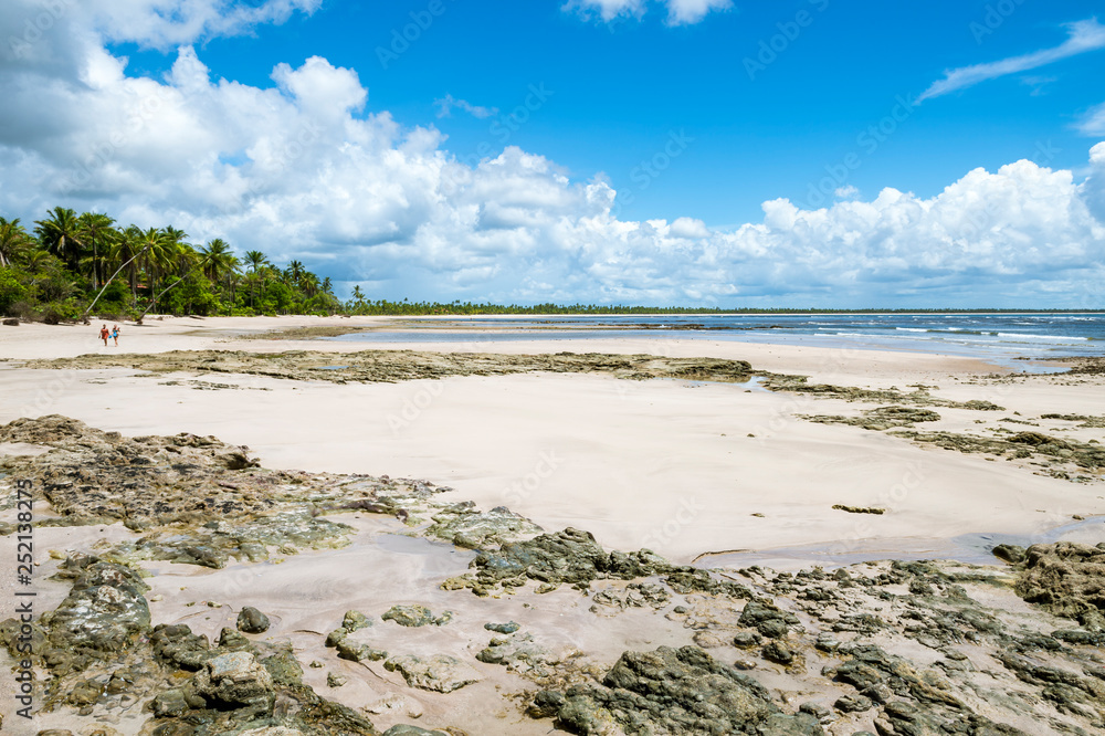 Obraz premium Bright scenic view of a remote Brazilian beach with a rough expanse of coral reef exposed at low tide in Bahia, Brazil