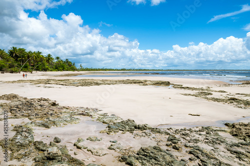 Bright scenic view of a remote Brazilian beach with a rough expanse of coral reef exposed at low tide in Bahia  Brazil