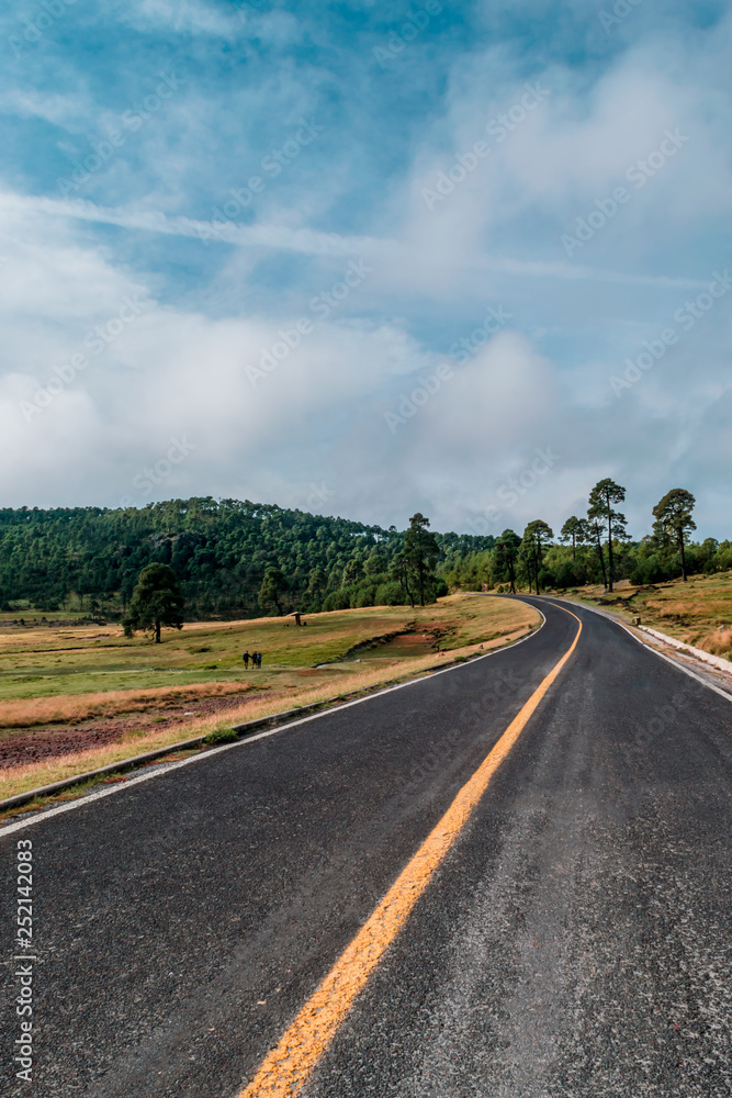 Fototapeta premium Road in the forest