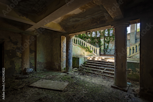 Ruined old mansion interior overgrown by plants