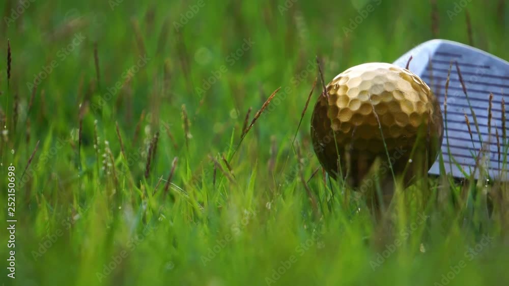 Golf clubs and golf balls gold, placed on a green lawn, on the golf course footage 4K Golf clubs and golf balls gold, placed on a green lawn, on the golf course footage 4K