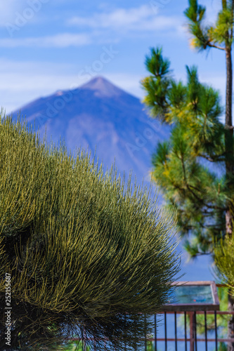 Incredible view of the Teide volcano from the viewpoint Mirador de Chipeque, which is located on the road number 24. Tenerife. Canary Islands..Spain photo