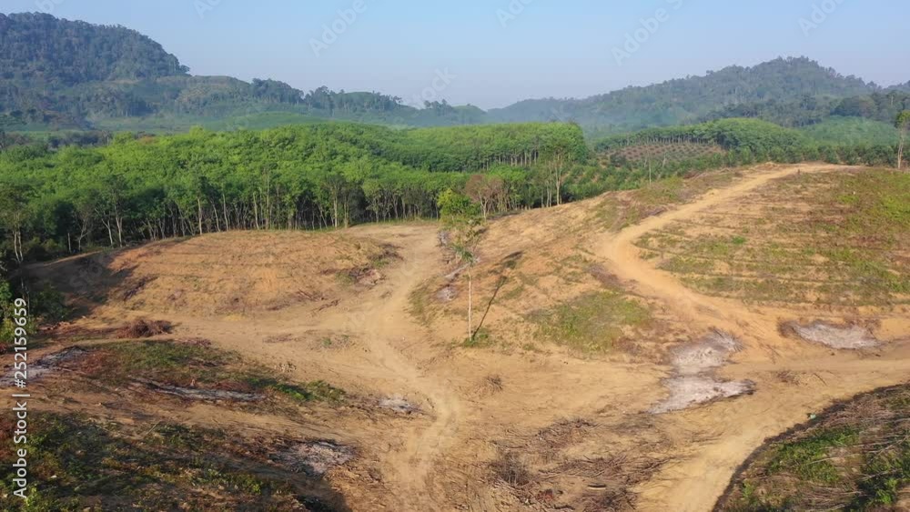 Deforestation. Rainforest environment destroyed Deforestation. Rainforest environment destroyed