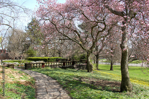 Spring time in the park with flowers 