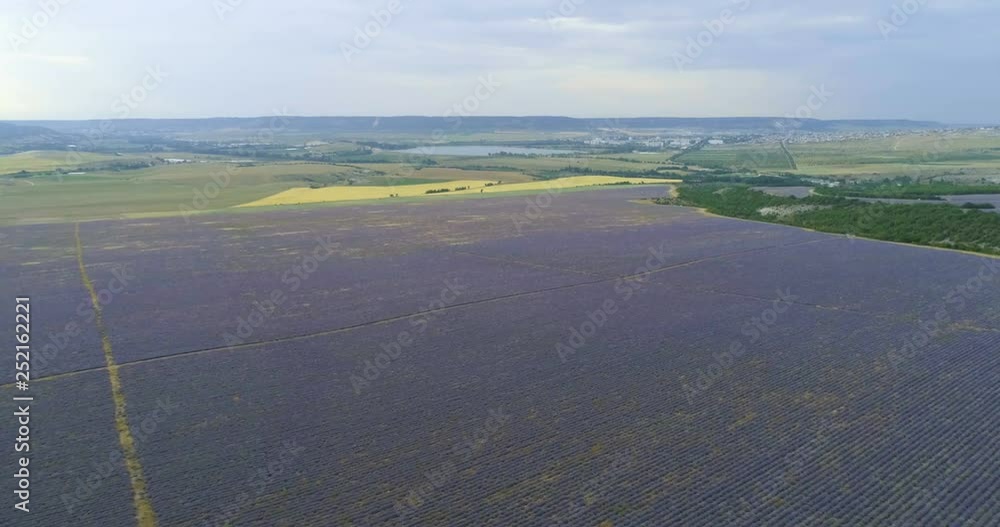Lavender field in the summer from aerial view. Provence, France. Lavender field in the summer from aerial view. Provence, France.