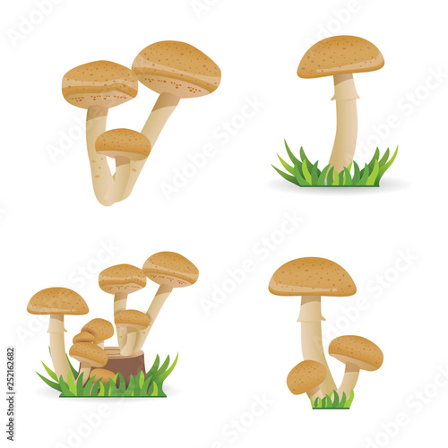 Set illustration Edible mushrooms, growing on a stump. vegetable healthy food. mushrooms isolated on white background. Vector cartoon.