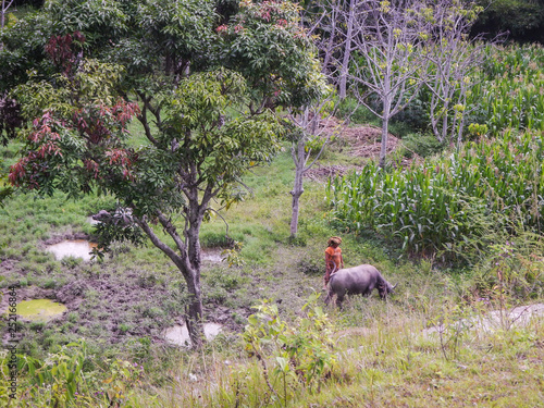 Traveling around Lake Toba, North Sumatra, Indonesia photo