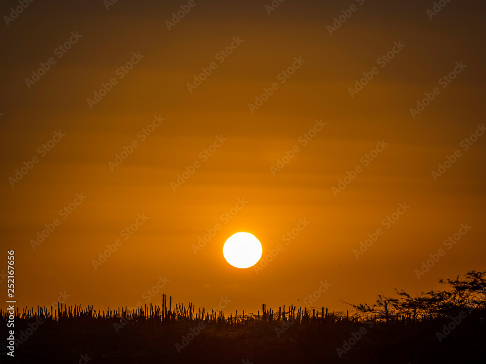 Beautiful sunrise over pastureland
