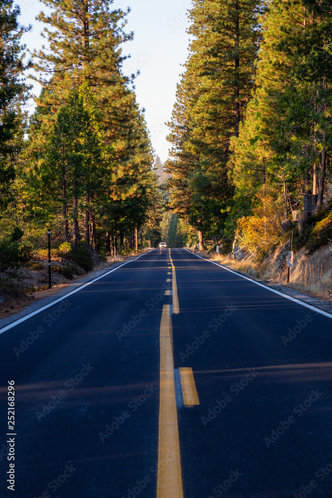 Scenic road in the mountains during a vibrant morning sunrise. Taken in Stanislaus National Forest, California, United States of America.
