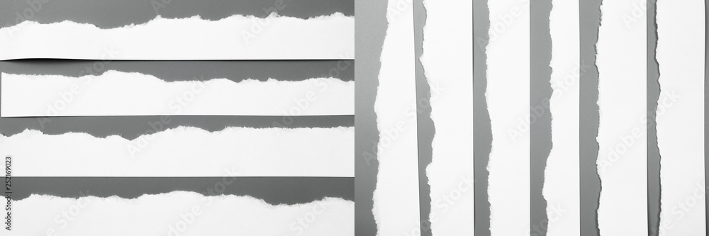 Sets white torn paper on gray background. collection paper rip - obrazy, fototapety, plakaty 