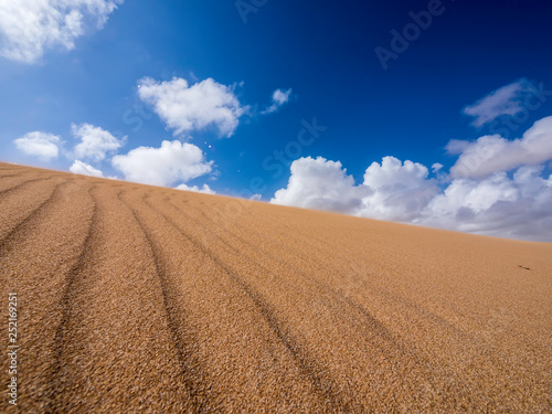 Obraz na płótnie Beautiful scenery at the sand dunes of Punta Gallinas desert in Colombia w salonie