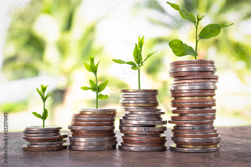 Financial planning, Money growth concept. Coins with young plant on table with backdrop blurred of nature