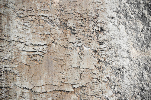 brown texture ground. surface of earth pattern wallpaper.