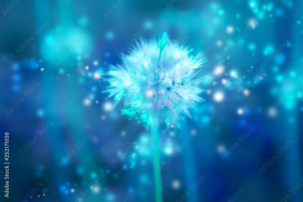 Fototapeta premium Soft blue flower backdrop wallpaper. Magic light of color from nature. cool tone background.