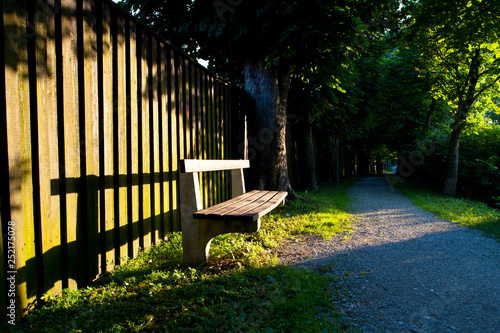 benach in an avenue in enns, austria photo