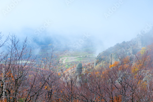 view from the mountain - autumn landscape in the fog, beautiful mountains, view of the bare trees and rocks