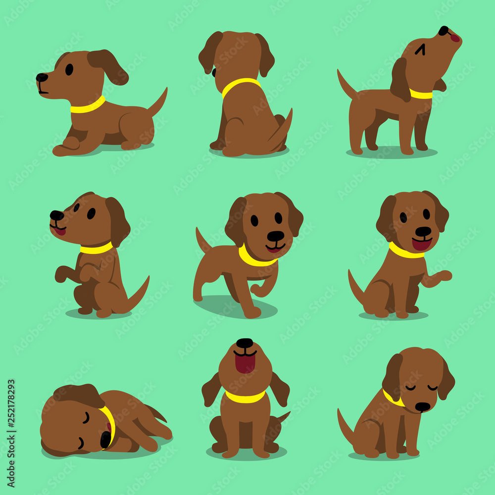 Vector cartoon character brown labrador dog poses for design.