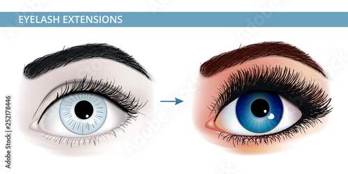 Eye lash extension realistic illustration. Fresh dark blue woman's eyes. Idea for business visit cards. Print for t -shirt. Vector illustration