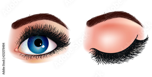 Eye lash extension realistic illustration. Fresh dark blue woman's eyes. Idea for business visit cards. Print for t -shirt. Vector illustration