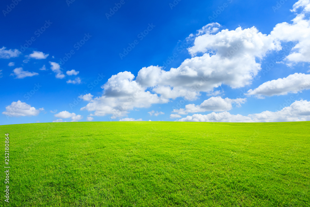 Green grass and blue sky with white clouds