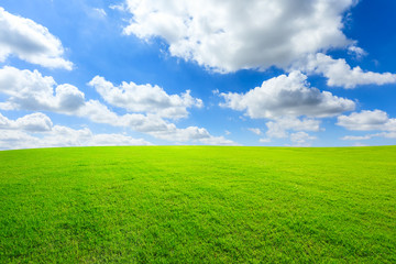 Green grass and blue sky with white clouds