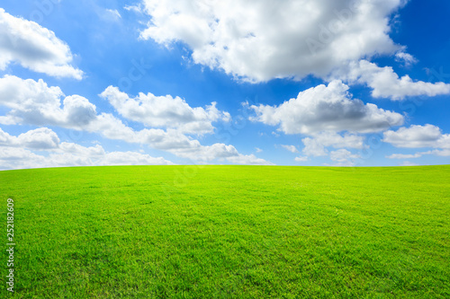 Fototapeta Naklejka Na Ścianę i Meble -  Green grass and blue sky with white clouds