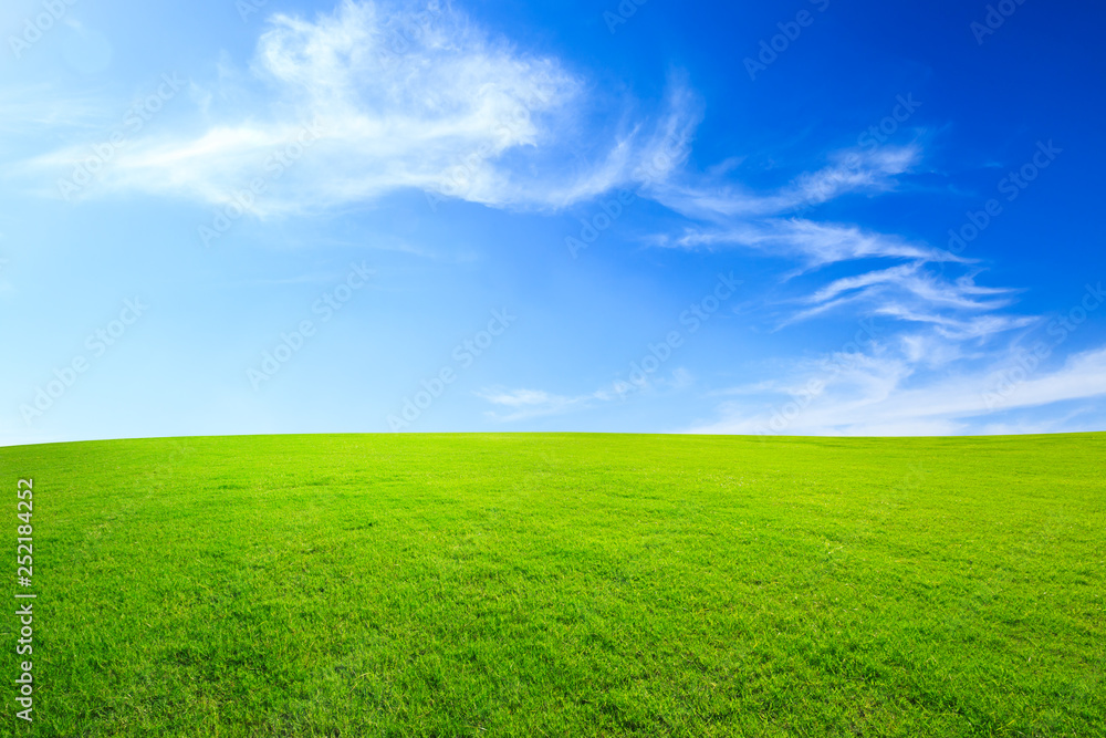 Green grass and blue sky with white clouds Green grass and blue sky with white clouds