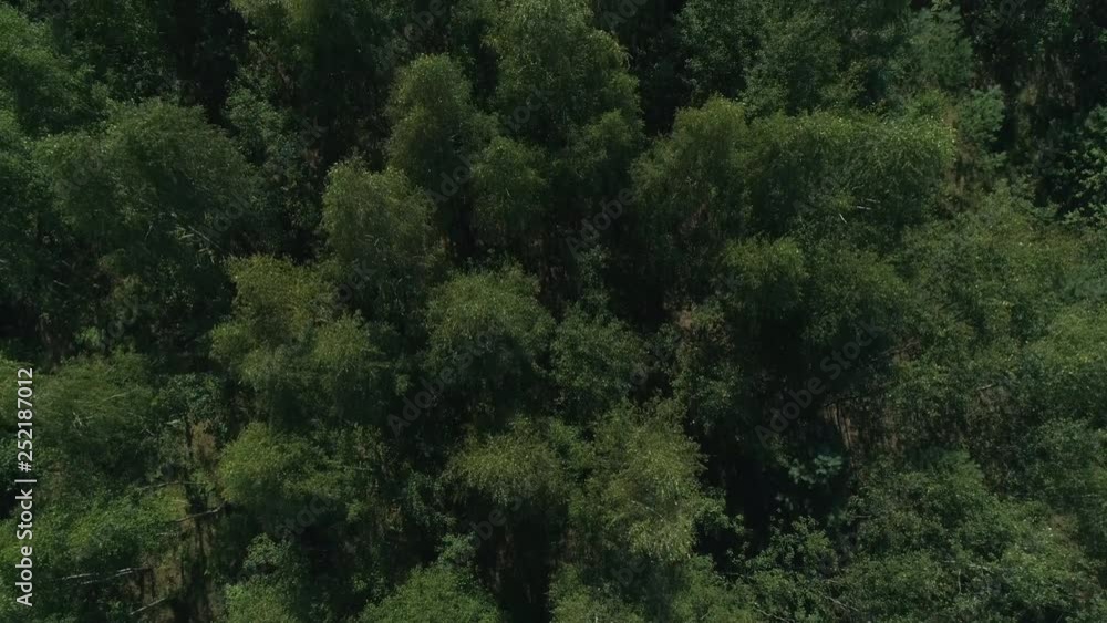 Aerial view looking down at summer greenwood pine and foliar forest with big tent on countryside camping area, cityscape on horizon Aerial view looking down at summer greenwood pine and foliar forest with big tent on countryside camping area, cityscape on horizon