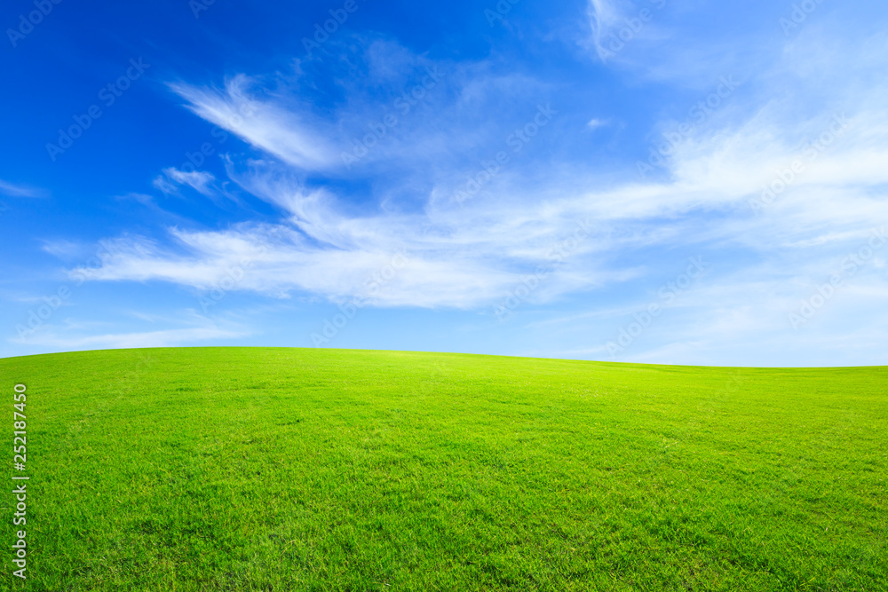 Green grass and blue sky with white clouds