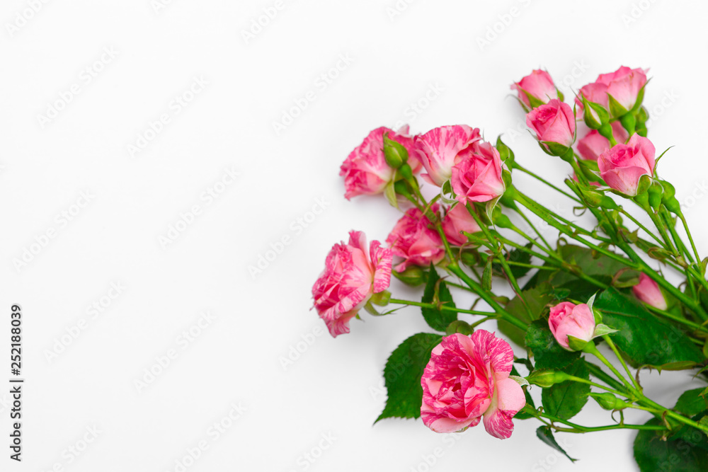 Little pink roses on white table. Gentle romantic background. Floral background Little pink roses on white table. Gentle romantic background. Floral background